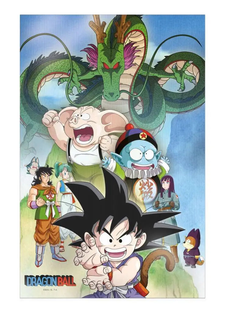 DRAGON BALL SHENRON AND HEROES 38X58CM 3D POSTER