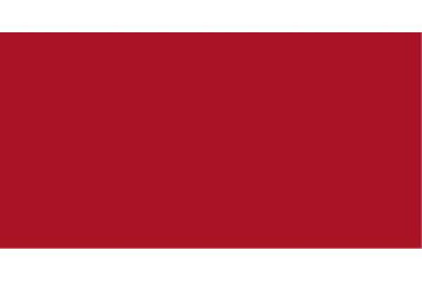 Premium color bright red 60ml