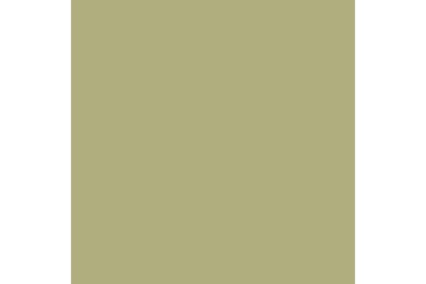 Pigments faded olive green 35ml