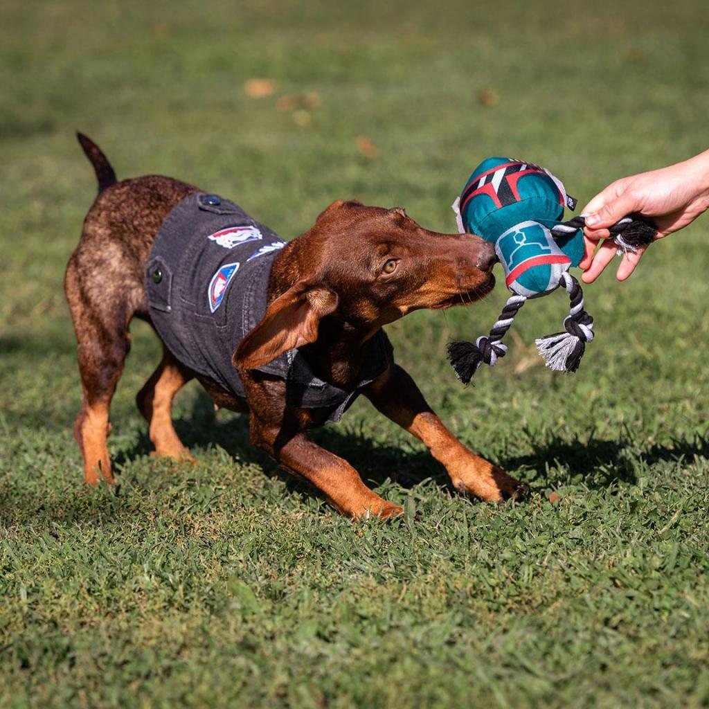 STAR WARS - Jouet en Corde pour Chien - Boba Fett