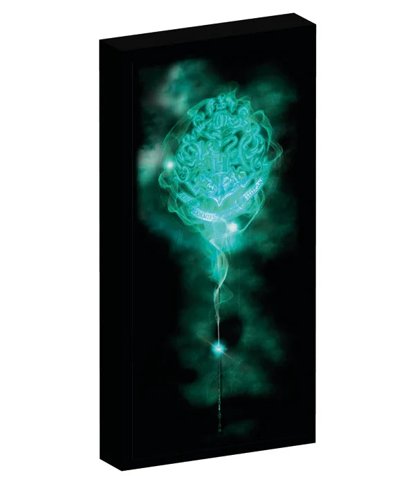 HARRY POTTER - Canvas with 6 LED light 20X3X40cm