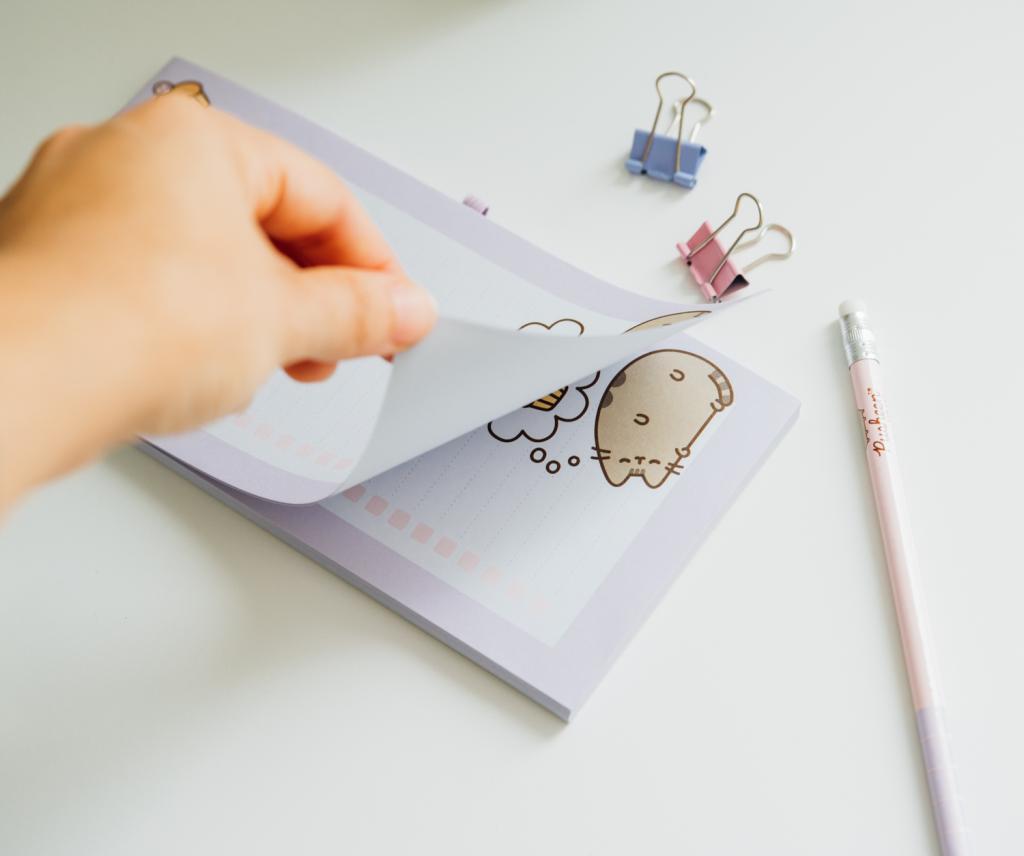 PUSHEEN - Bloc-Notes Magnétique + Crayon