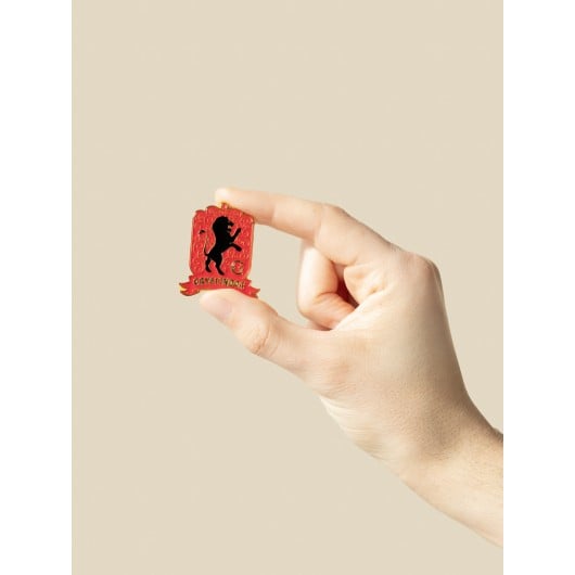 HARRY POTTER - Les 4 Maisons - Set de 4 Pin's