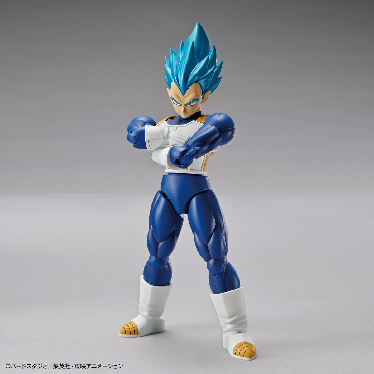 Dragon Ball Super - Super Saiyan God Super Saiyan Vegeta