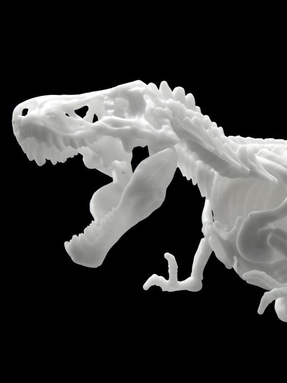 Limex - Dinosaur Skeleton Tyrannosaurus Rex