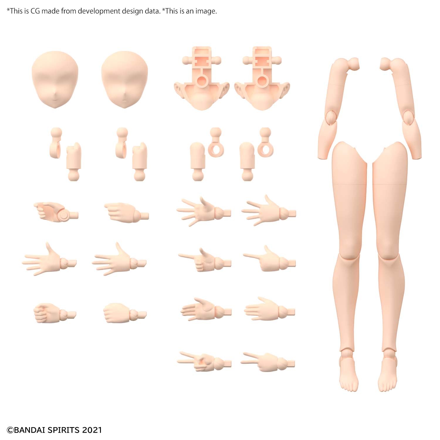 30MS OP BODY PARTS ARM & LEG COLOR A