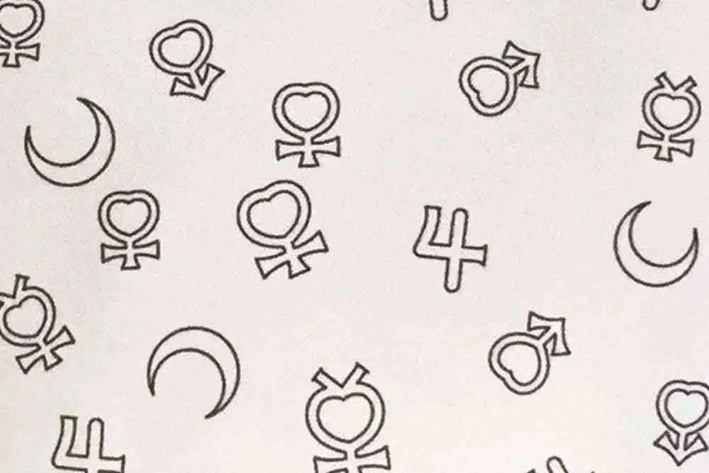 SAILOR MOON LUNA CUSHION