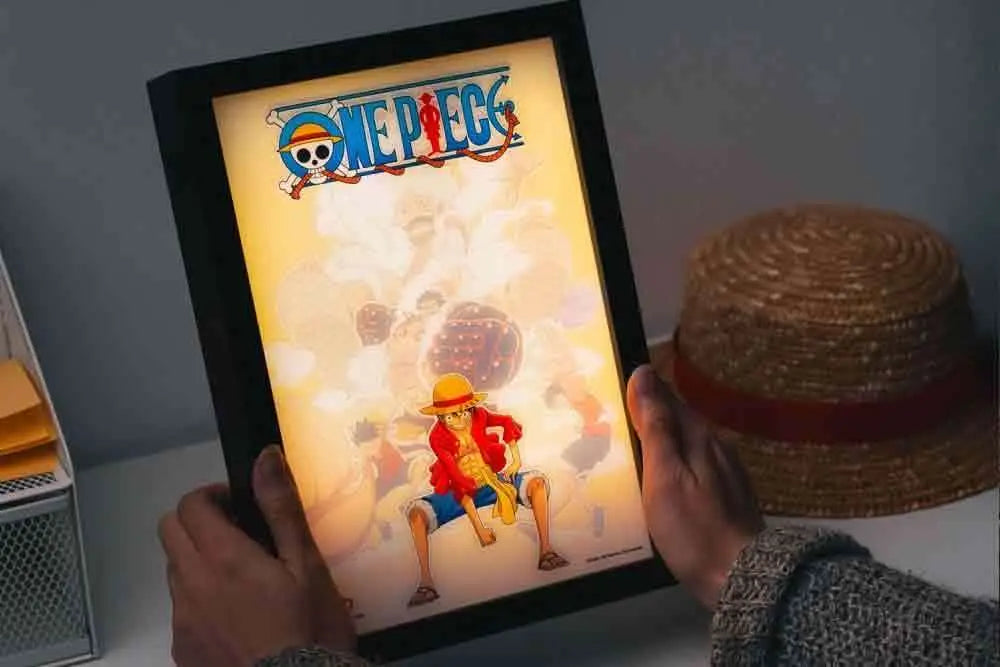 ONE PIECE BACKLIT FRAMED PRINT