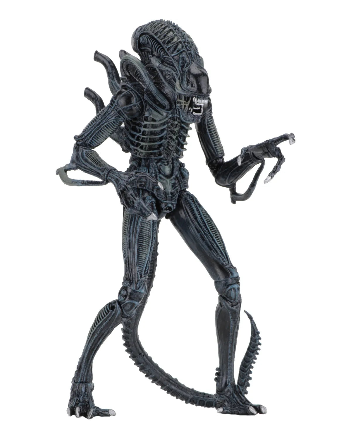 ALIENS ALIEN WARRIOR BLUE 1986 ULTIMATE AF