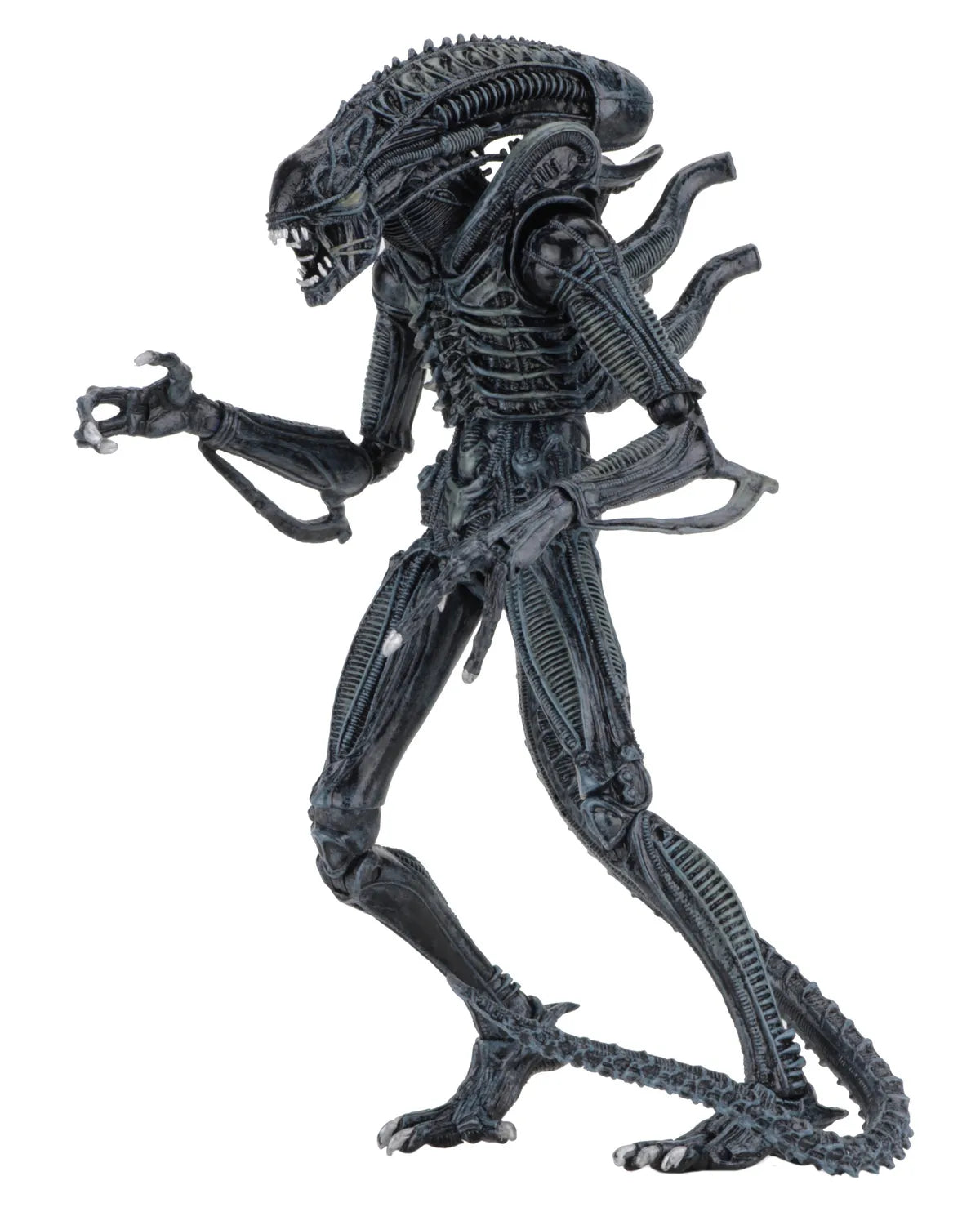 ALIENS ALIEN WARRIOR BLUE 1986 ULTIMATE AF