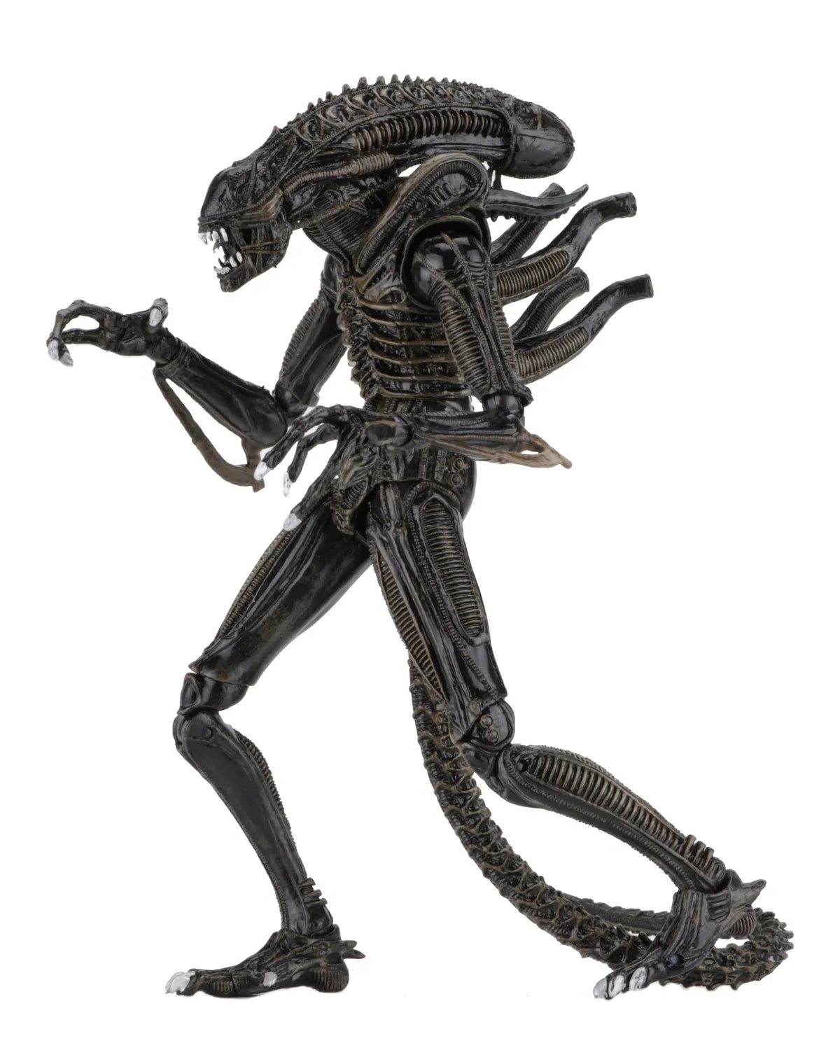 ALIENS ALIEN WARRIOR BROWN 1986 ULTIMATE AF