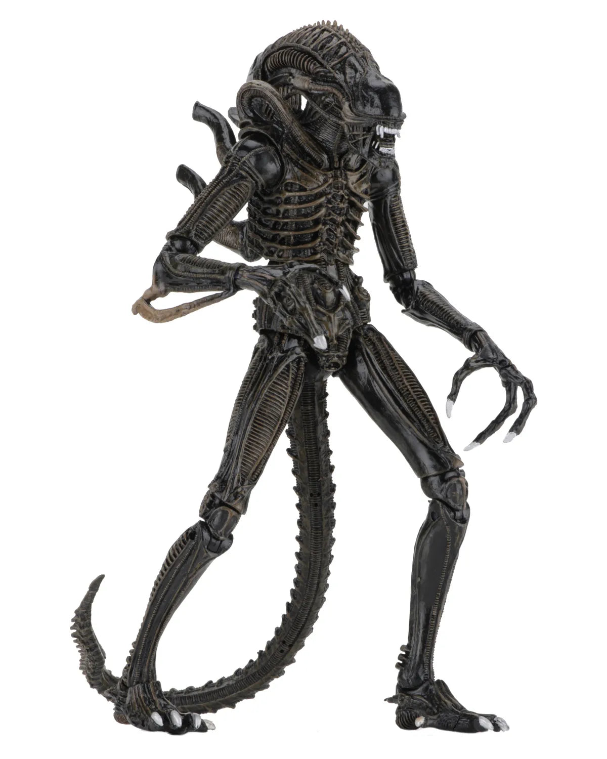 ALIENS ALIEN WARRIOR BROWN 1986 ULTIMATE AF