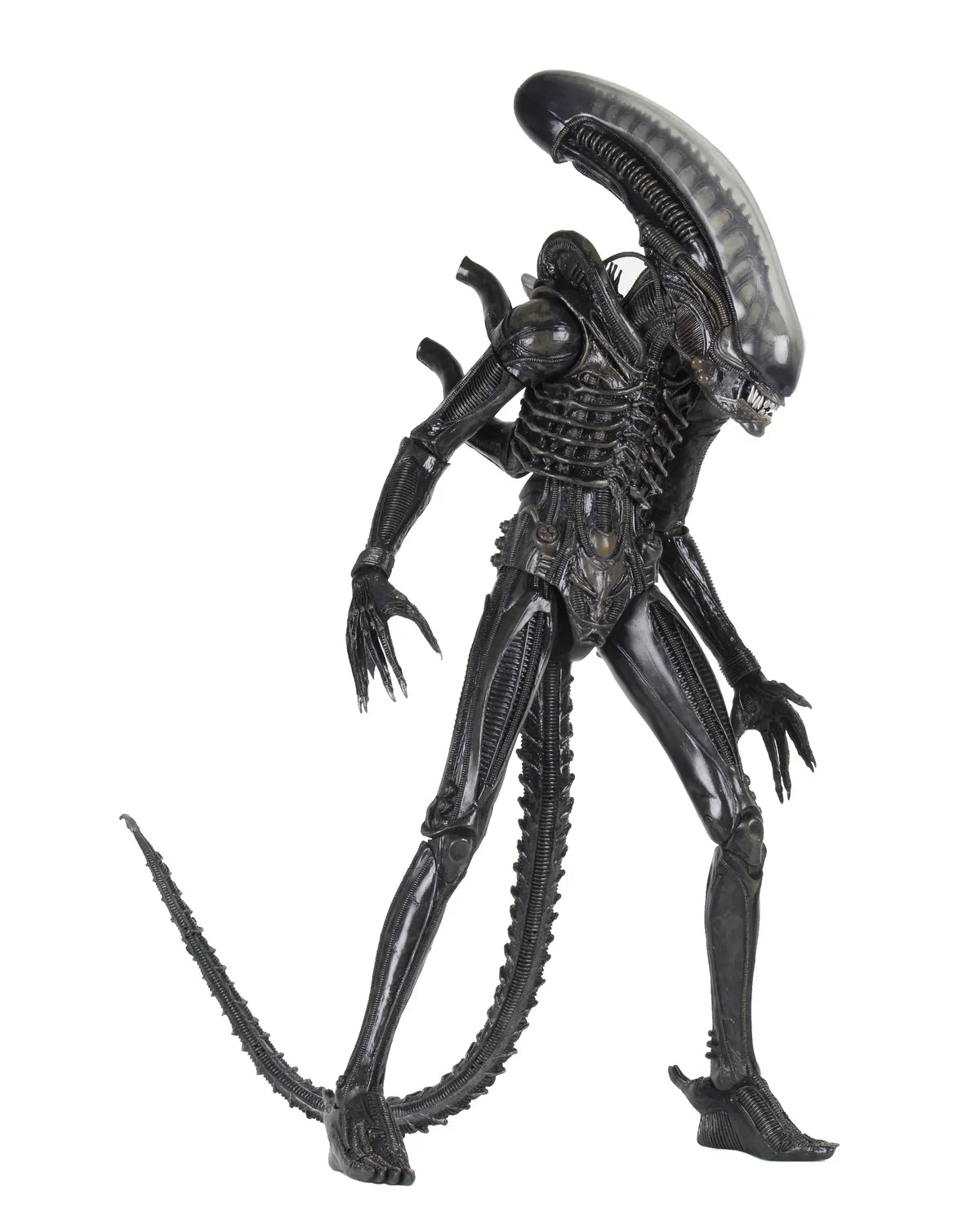 ALIEN BIG CHAP 1/4 AF RERUN