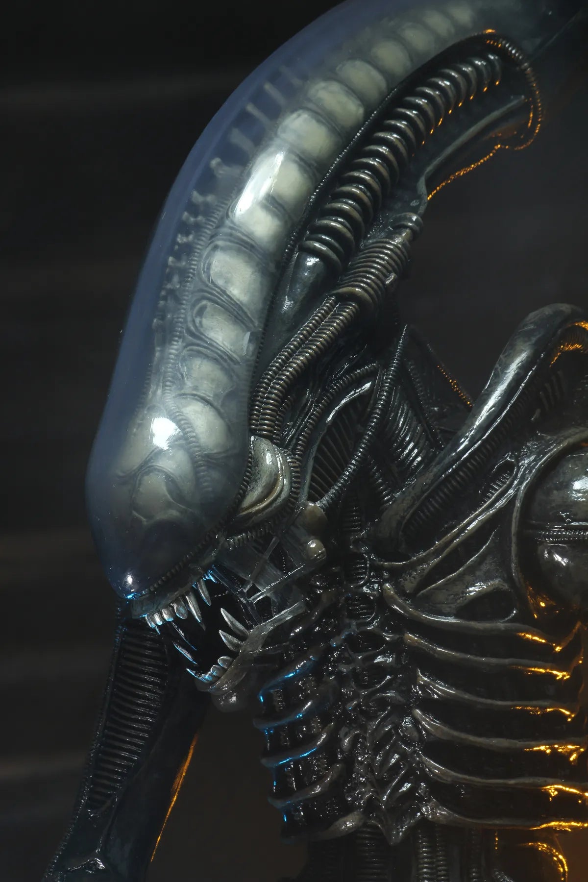 ALIEN BIG CHAP 1/4 AF RERUN