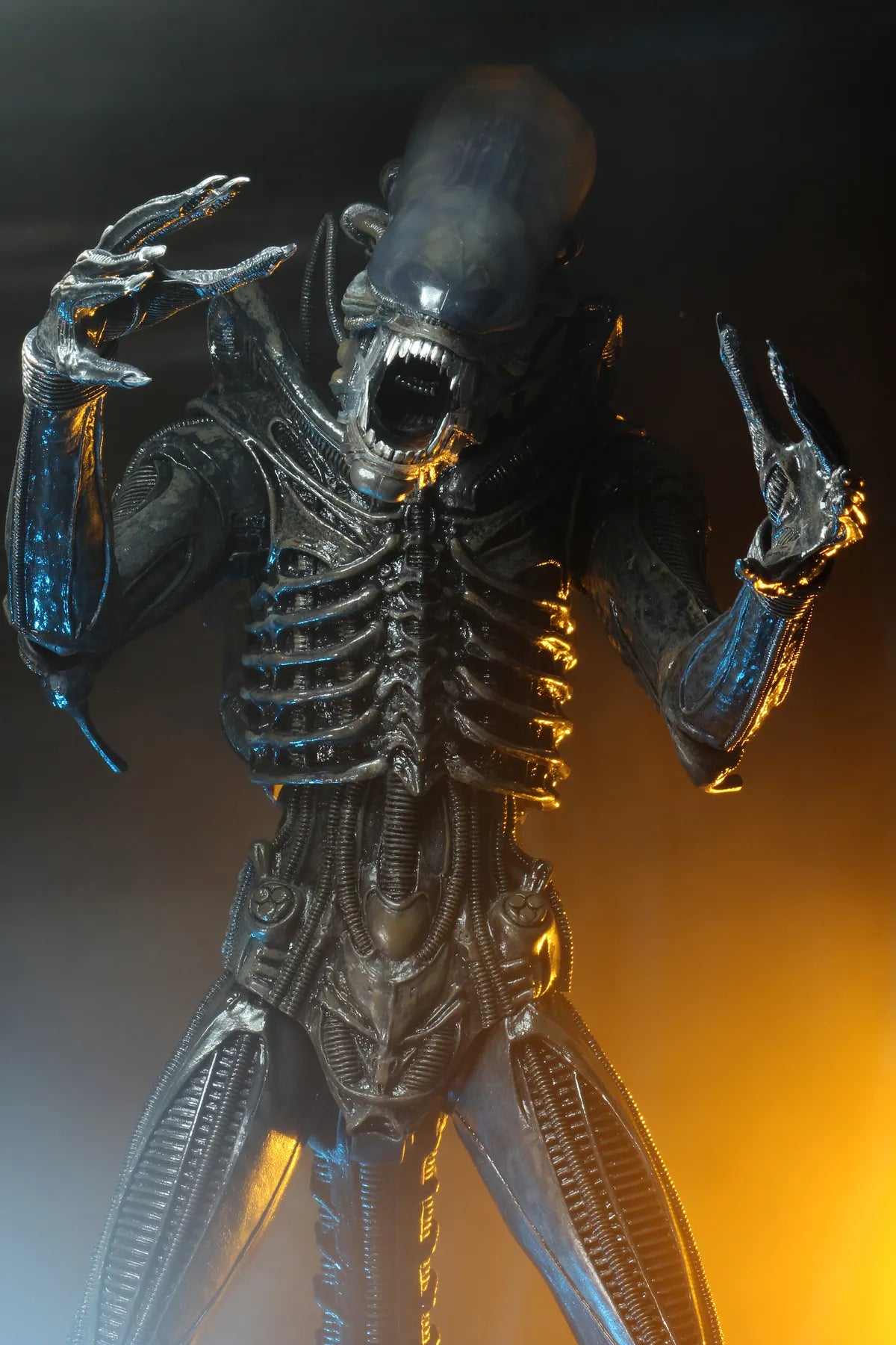 ALIEN BIG CHAP 1/4 AF RERUN