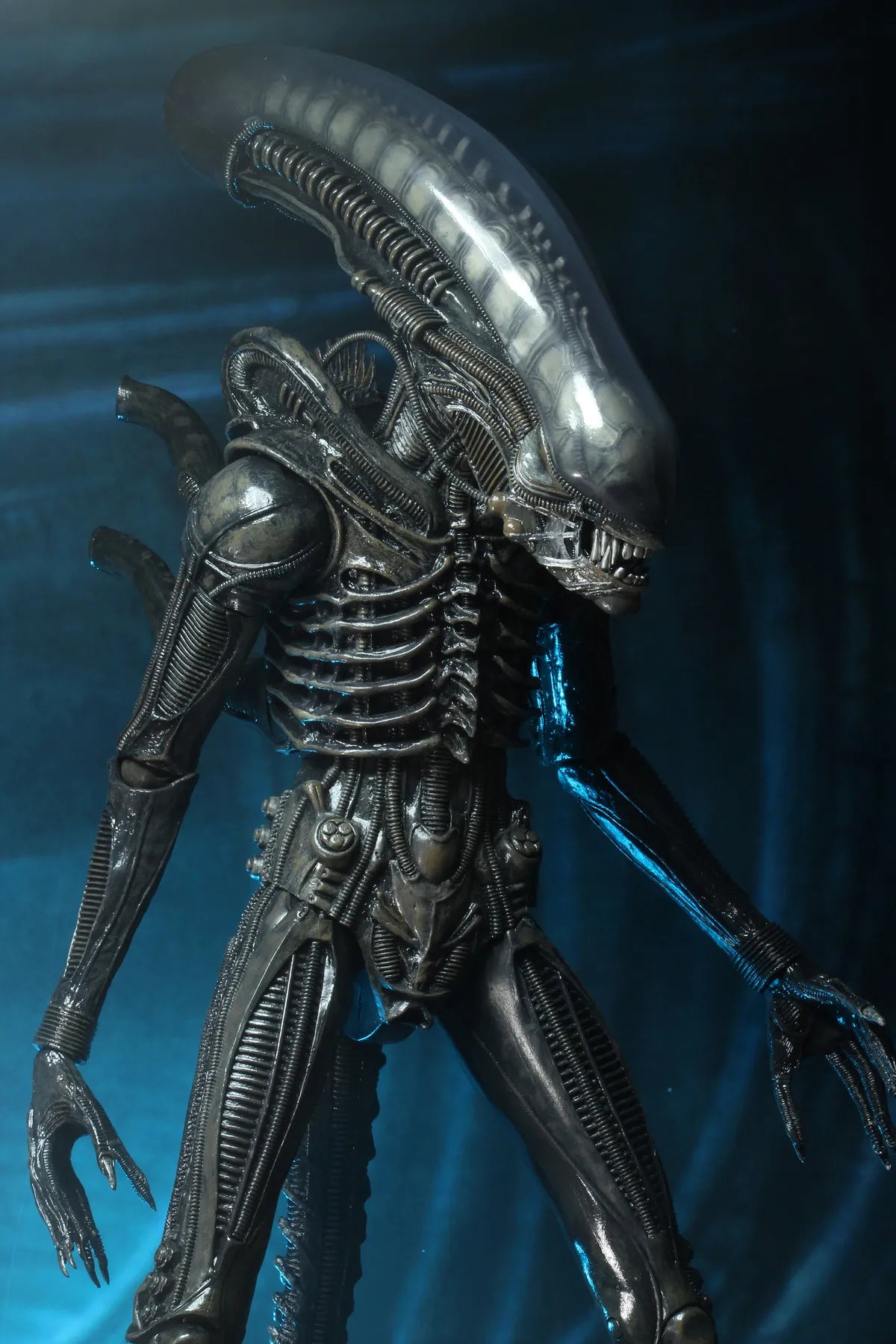 ALIEN BIG CHAP 1/4 AF RERUN