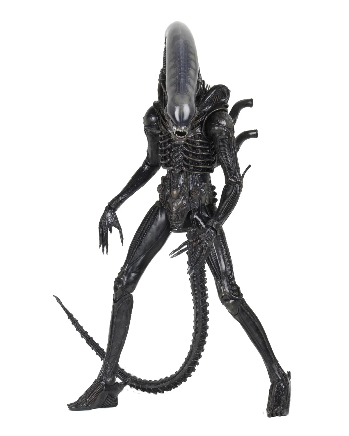 ALIEN BIG CHAP 1/4 AF RERUN