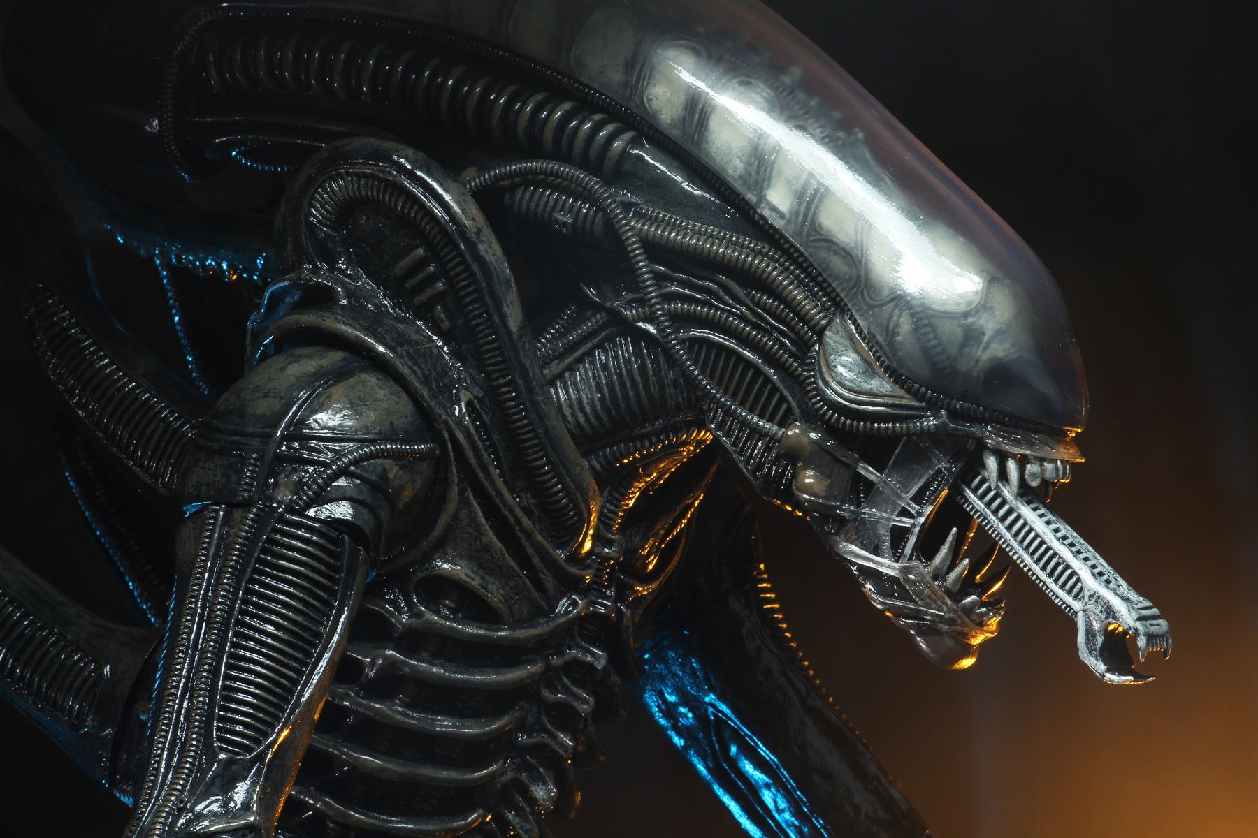 ALIEN BIG CHAP 1/4 AF RERUN