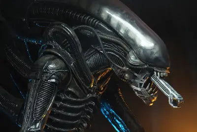 ALIEN BIG CHAP 1/4 AF RERUN