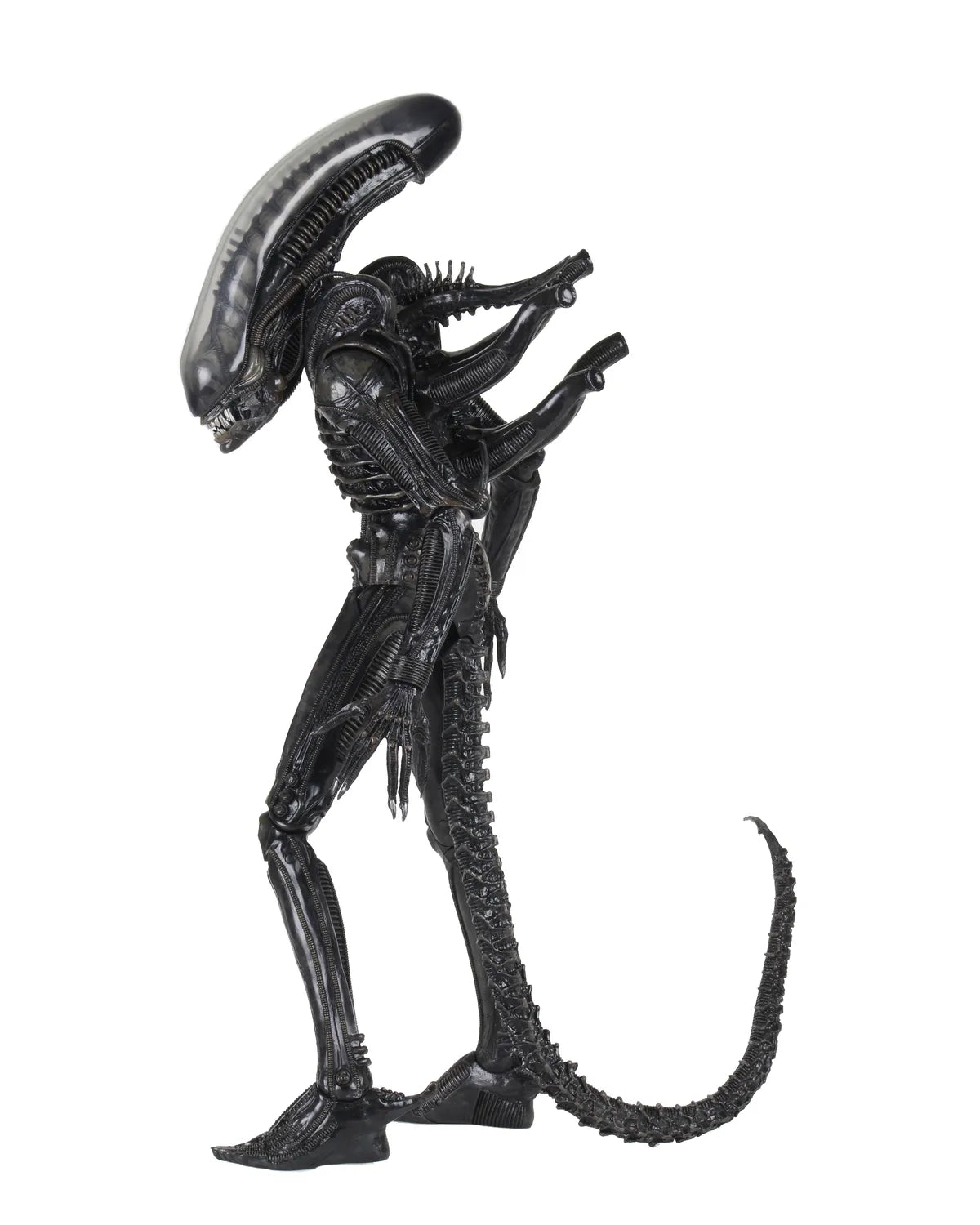 ALIEN BIG CHAP 1/4 AF RERUN