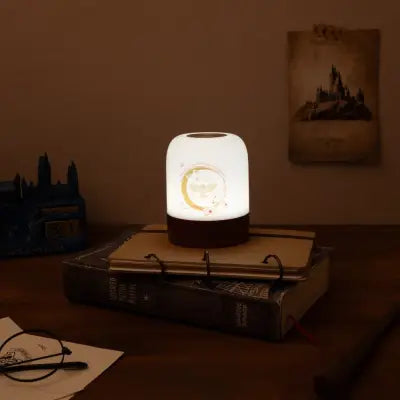 HARRY POTTER ROOM LAMP