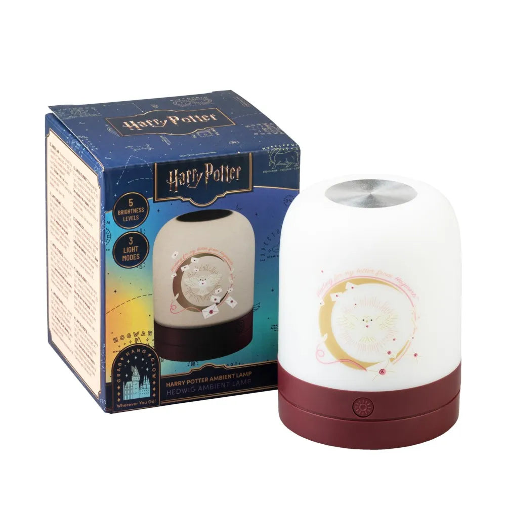 HARRY POTTER ROOM LAMP