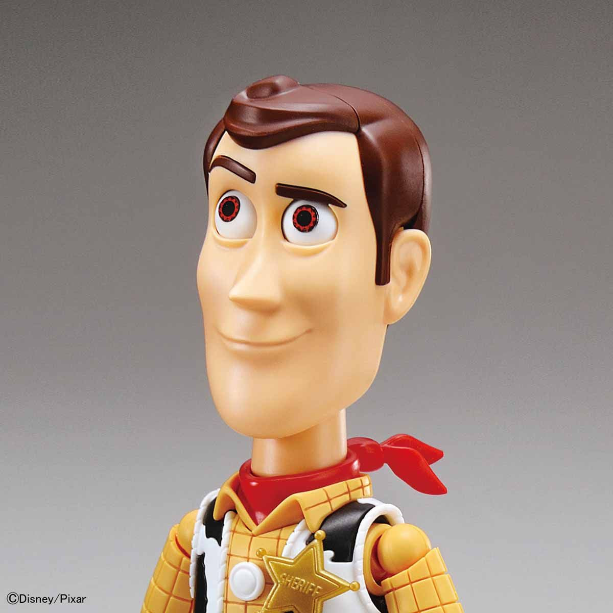 Toy Story 4 - Woody