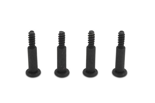 Step Screw M3x19mm (Hex Socket/4pcs)