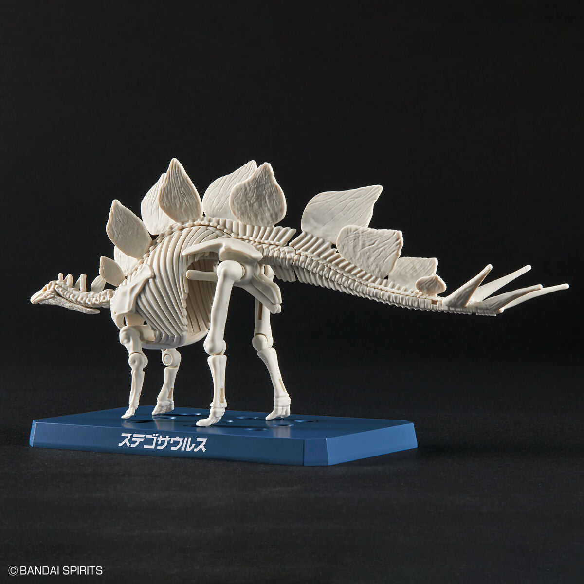 Planosaurus Stegosaurus