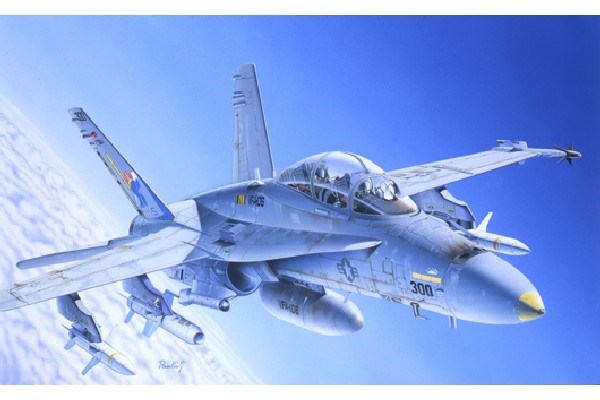 1:72 F/A-18C/D WILD WEASEL