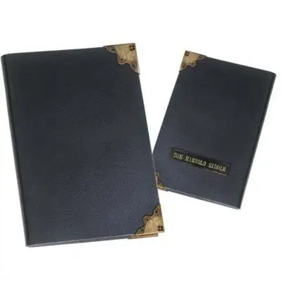 HP TOM RIDDLE DIARY