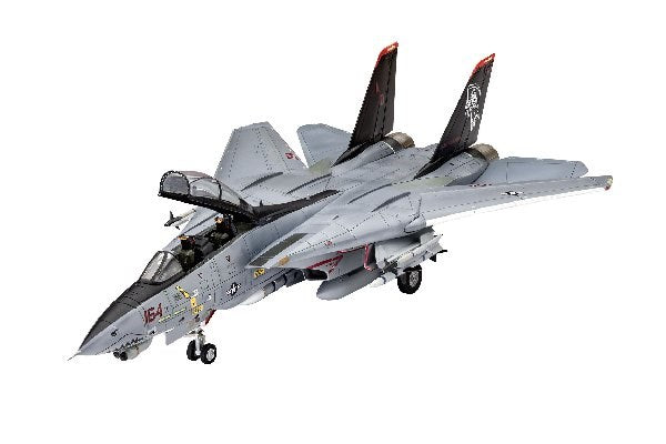 Grumman F-14D Super Tomcat