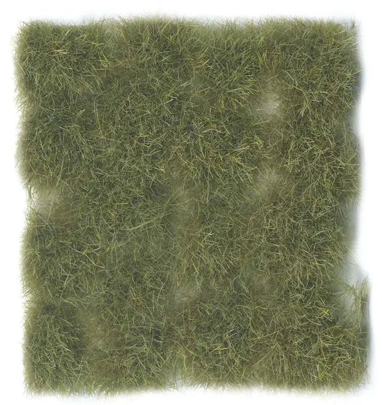 TUFT WILD SC424 DRY GREEN EX LARGE