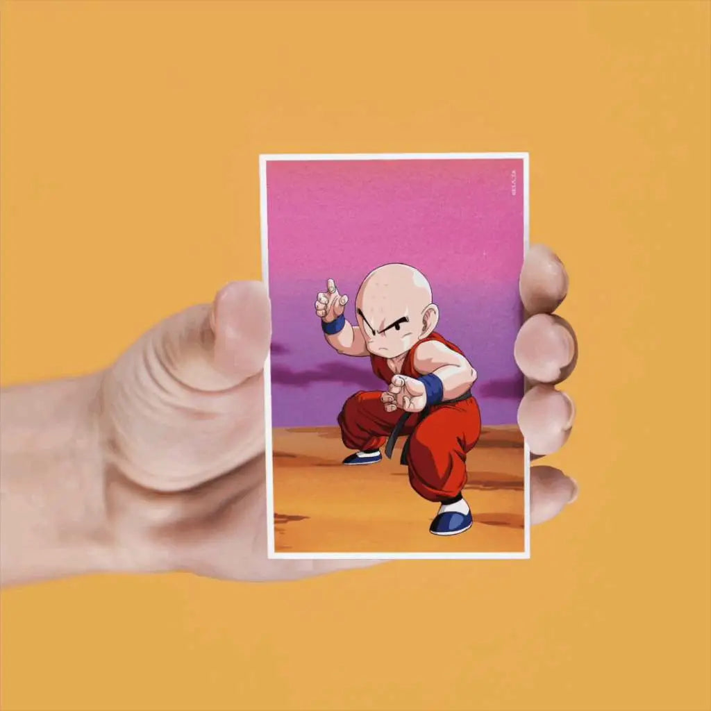 DRAGON BALL 4 LENTICULAR MAGNETS SET