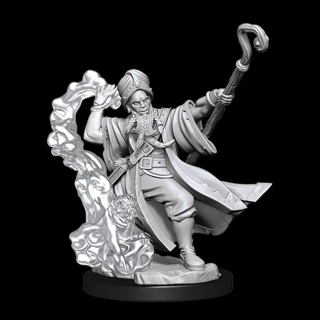 D&D FRAMEWORKS-HUMAN WIZARD MALE