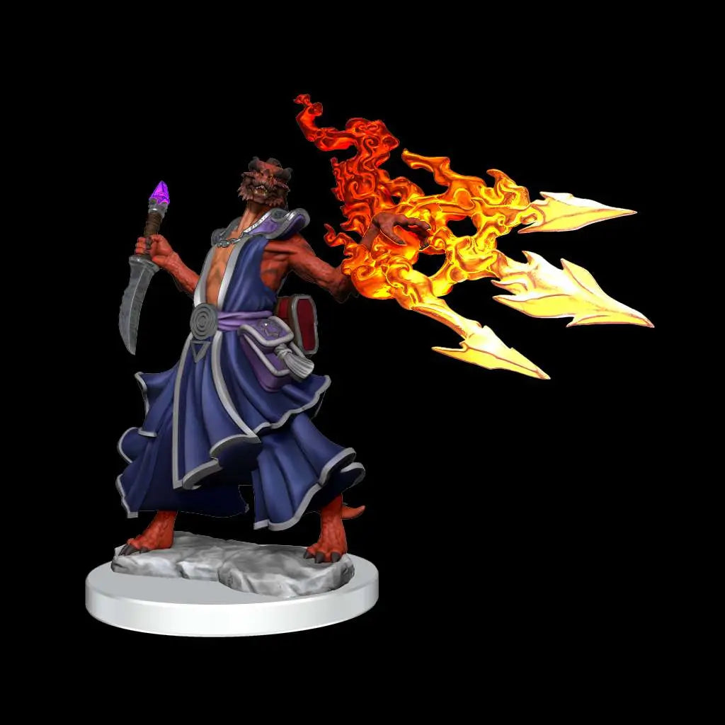 D&D FRAMEWORKS-DRAGONBORN SORCERER FEM.