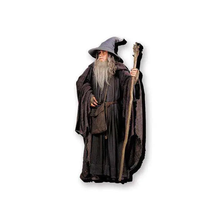 LOTR GANDALF FUNKY CHUNKY MAGNET