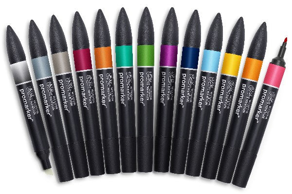 Promarker set, tattoo tones 12pcs