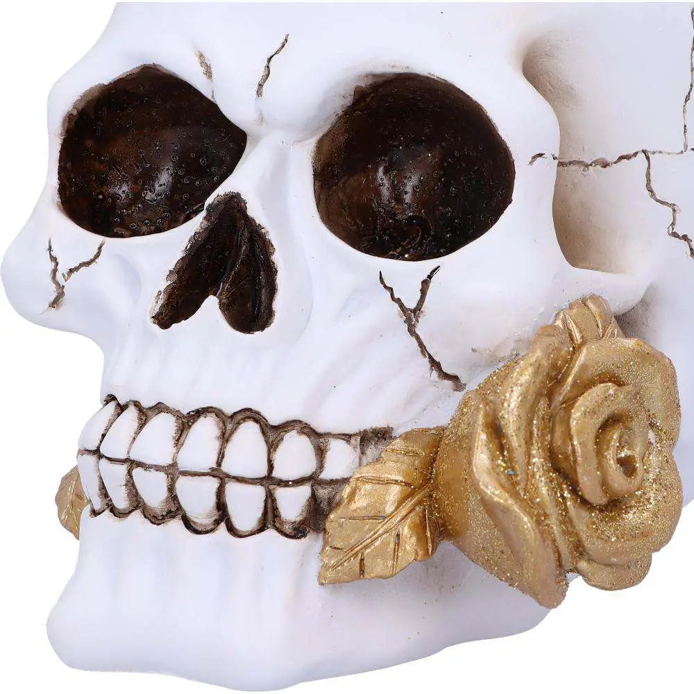 SKULL GOTHIC FLORAL FATE GOLDEN ROSE