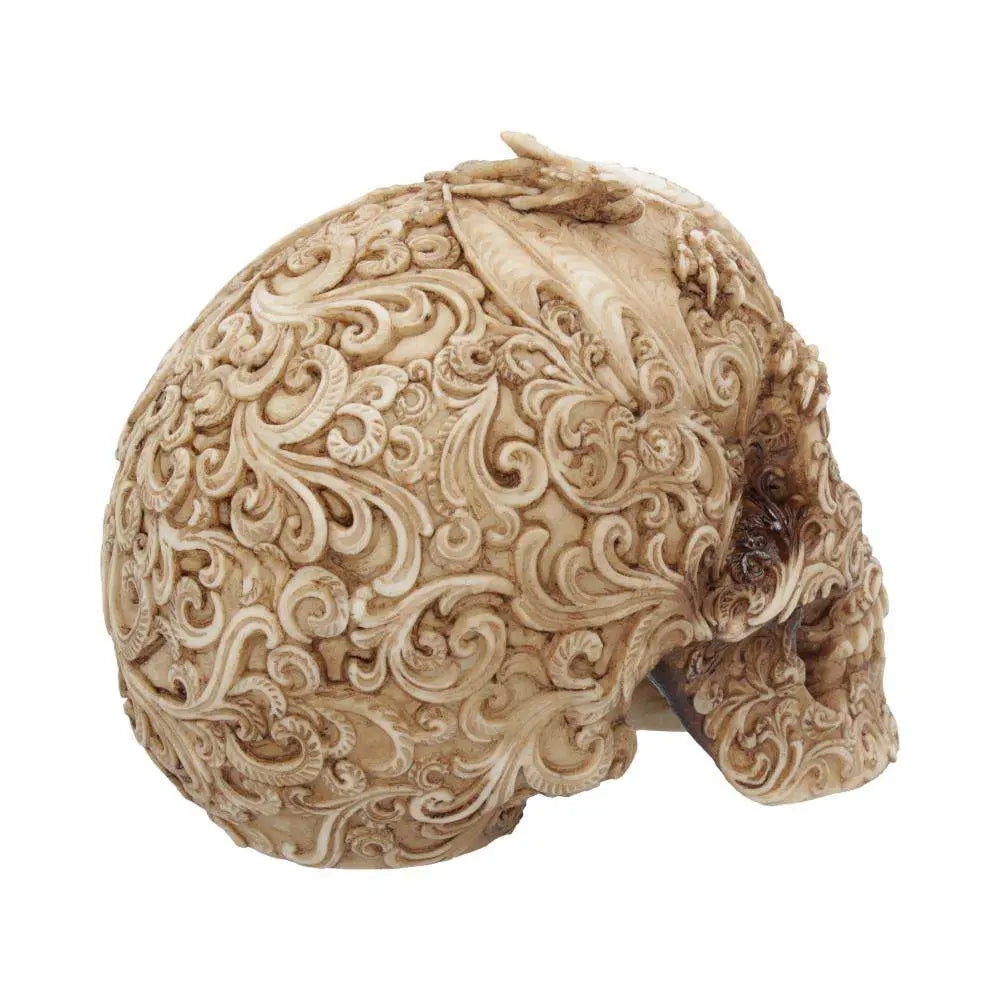 SKULL ORNAMENT CRANIAL DRAKOS