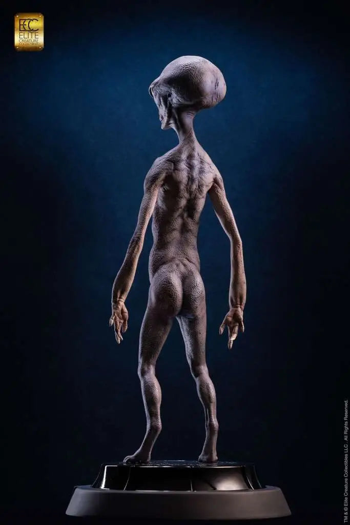 REPTILIAN GREY MAQUETTE BY STEVE WANG STATUE