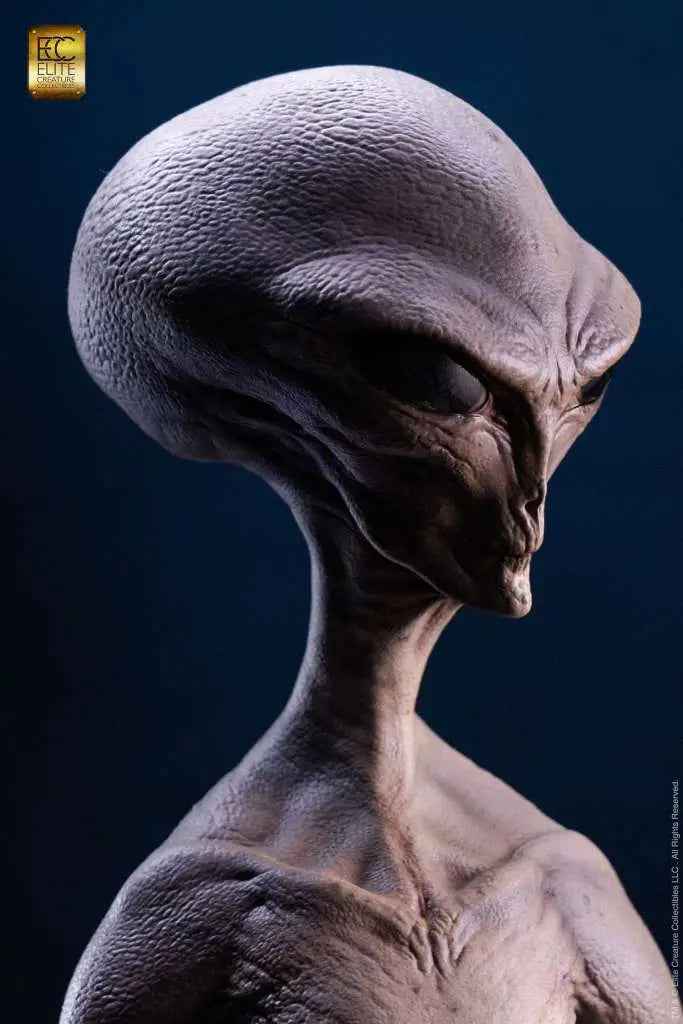 REPTILIAN GREY MAQUETTE BY STEVE WANG STATUE