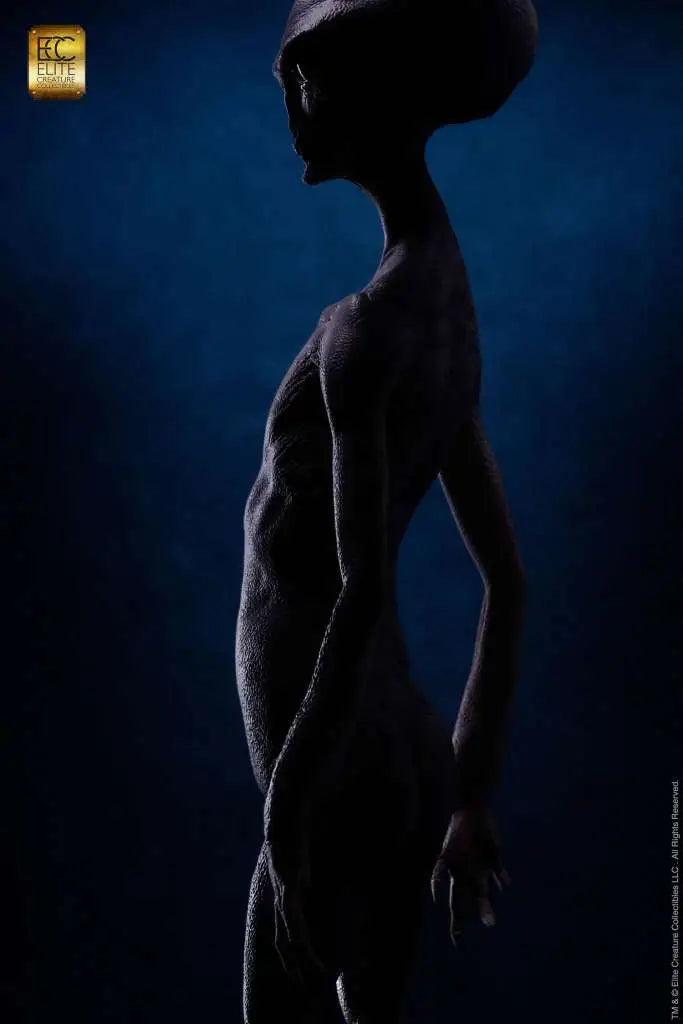 REPTILIAN GREY MAQUETTE BY STEVE WANG STATUE
