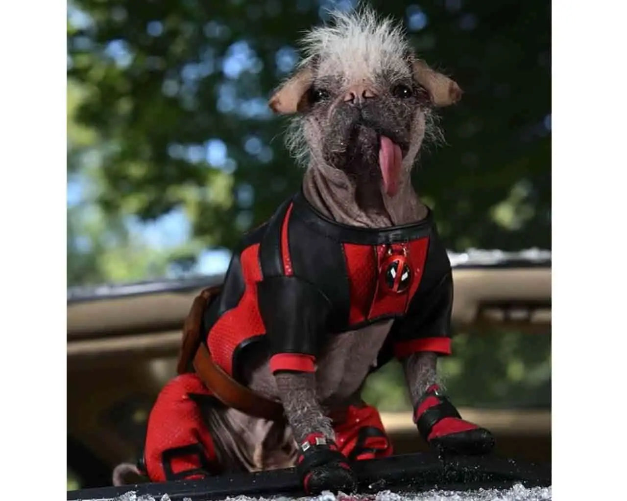 Deadpool & Wolverine: Dogpool Plush 25 cm