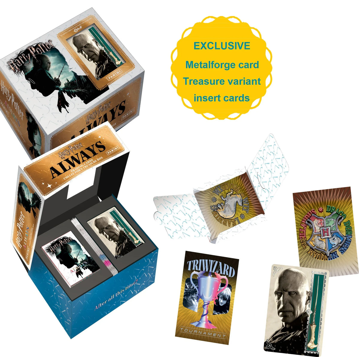 HARRY POTTER 5 - Treasure Box - FR