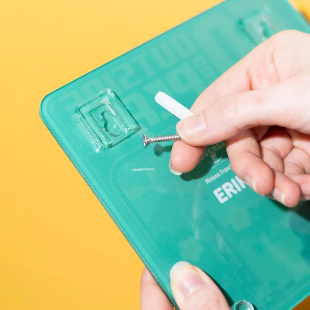 MINIONS - Wall Key Holder with 2 Keyrings