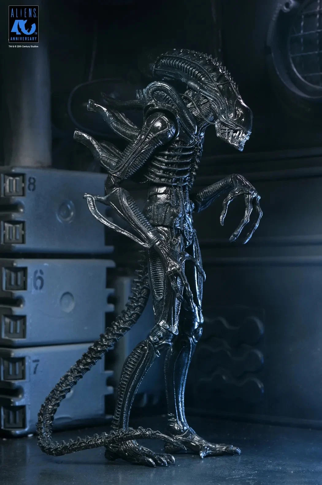 ALIENS 40TH ANNIVERSARY - Warrior Alien Black - Figure Ultimate 23cm