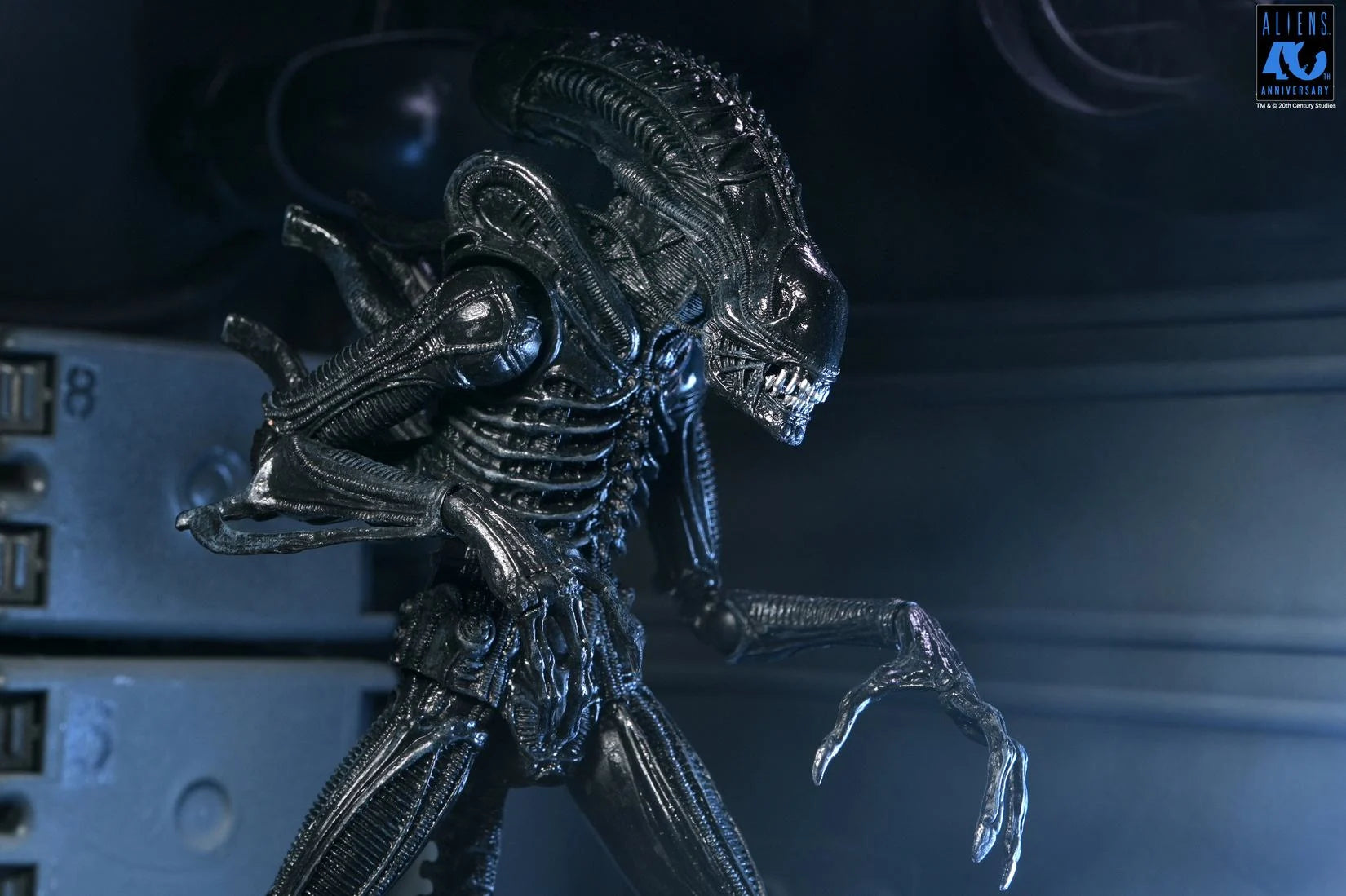 ALIENS 40TH ANNIVERSARY - Warrior Alien Black - Figure Ultimate 23cm