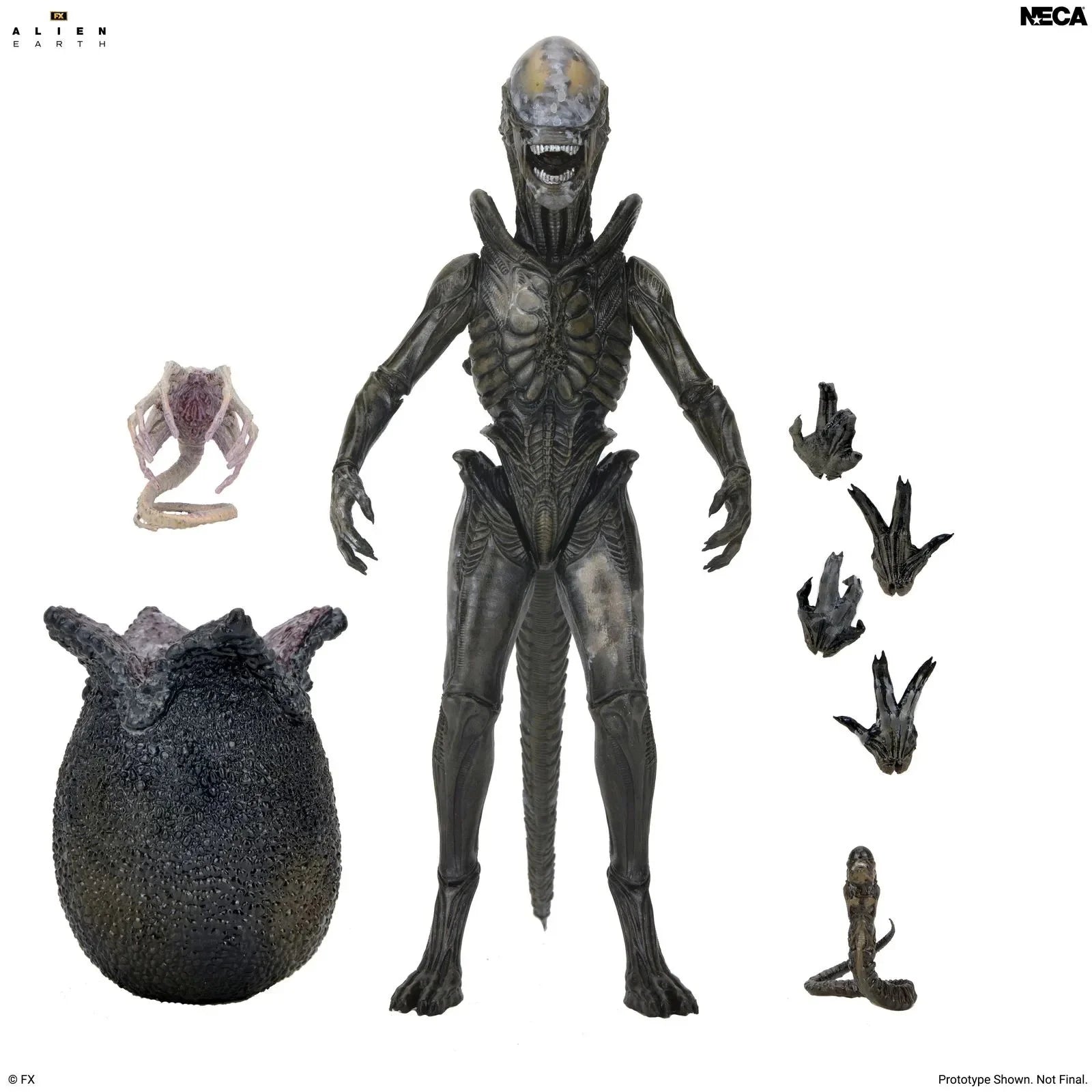 ALIEN EARTH - Wendy Xenomorph  - Figure Ultimate 17cm
