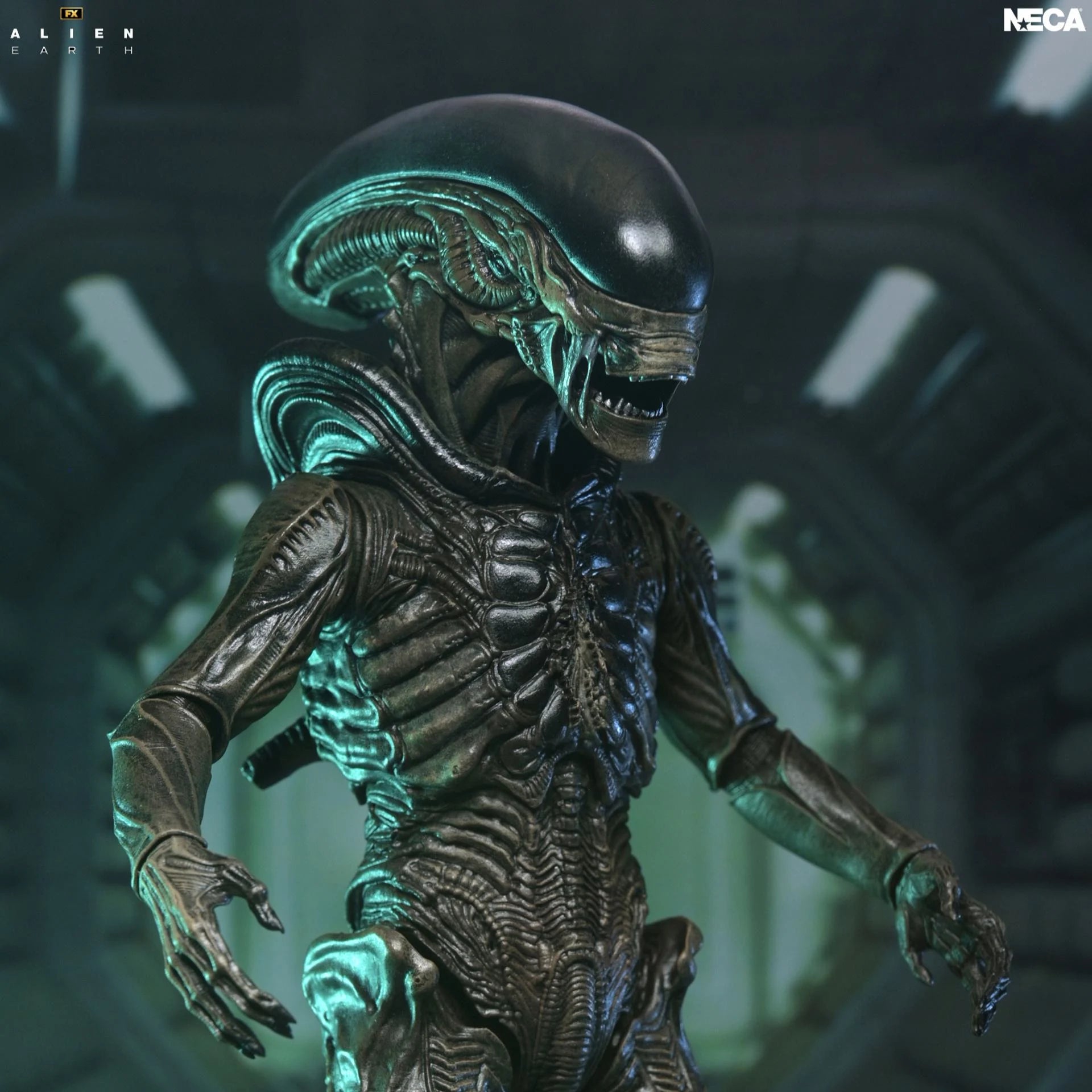 ALIEN EARTH - Xenomorph  - Figure Ultimate 17cm